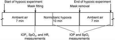 Intraocular Pressure Response to Short-Term Extreme Normobaric Hypoxia Exposure